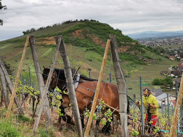 selection livre alsace