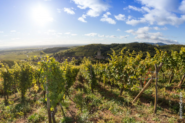 selection livre alsace biodynamie