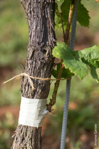 selection livre alsace biodynamie