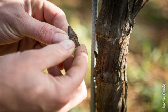 selection livre alsace biodynamie