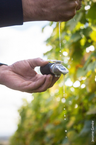 selection livre alsace biodynamie