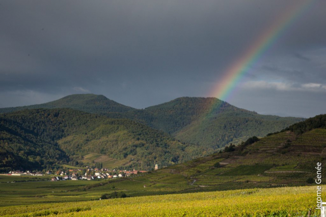 selection livre alsace biodynamie