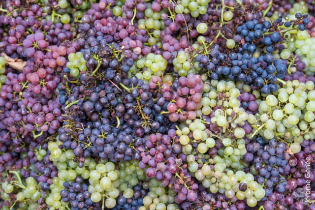 selection livre alsace biodynamie