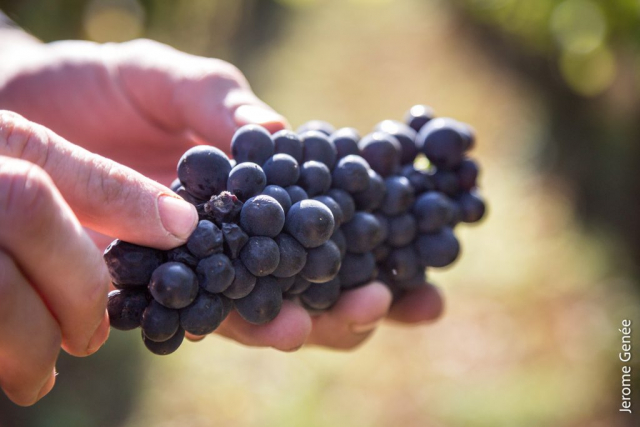 selection livre alsace biodynamie