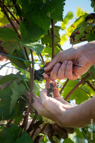selection livre alsace biodynamie