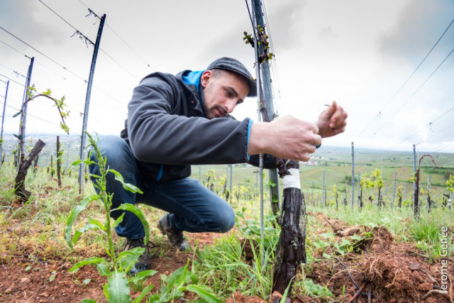 selection livre alsace