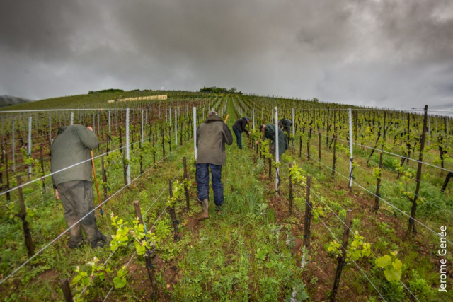 selection livre alsace biodynamie