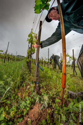 selection livre alsace