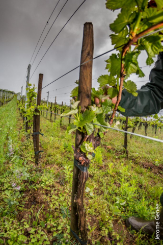 selection livre alsace biodynamie
