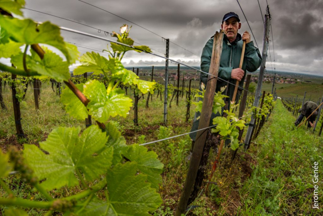 selection livre alsace