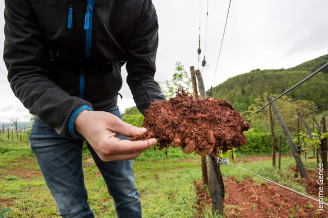 selection livre alsace