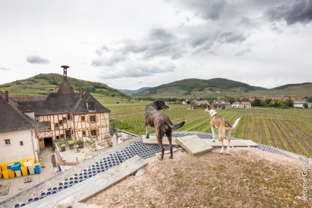 selection livre alsace