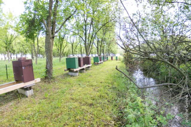 selection livre alsace biodynamie