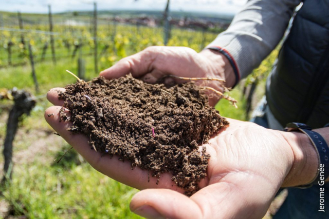 selection livre alsace biodynamie