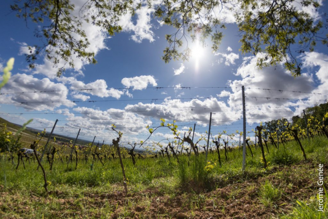 selection livre alsace biodynamie