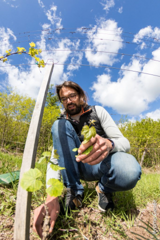selection livre alsace