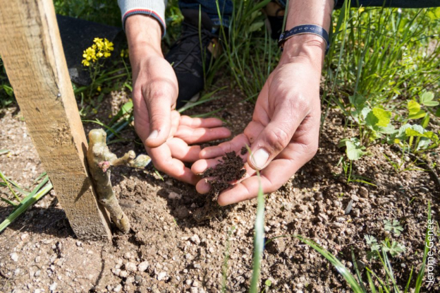 selection livre alsace biodynamie