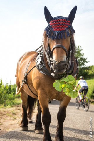 selection livre alsace biodynamie