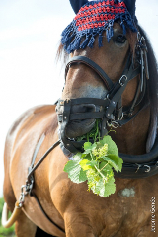selection livre alsace biodynamie