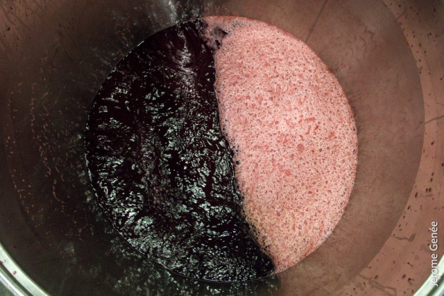 selection livre alsace biodynamie