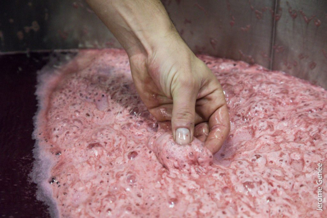 selection livre alsace biodynamie