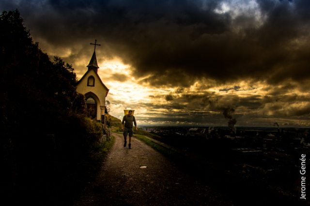 selection livre alsace biodynamie