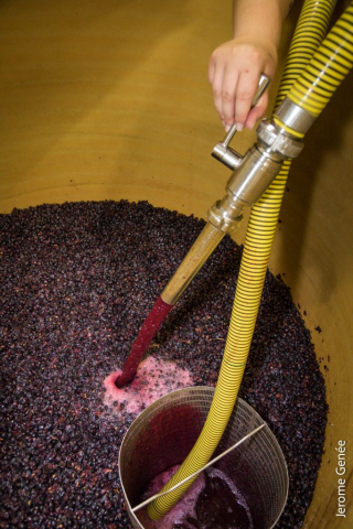 selection livre alsace biodynamie