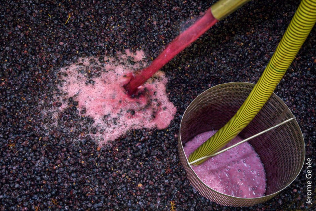 selection livre alsace biodynamie