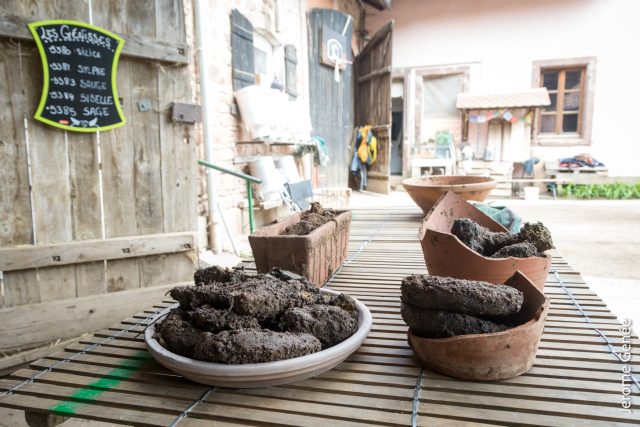 selection livre alsace biodynamie