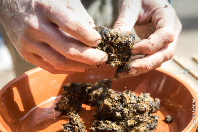 selection livre alsace biodynamie