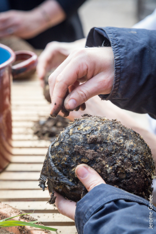 selection livre alsace biodynamie