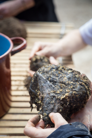 selection livre alsace biodynamie