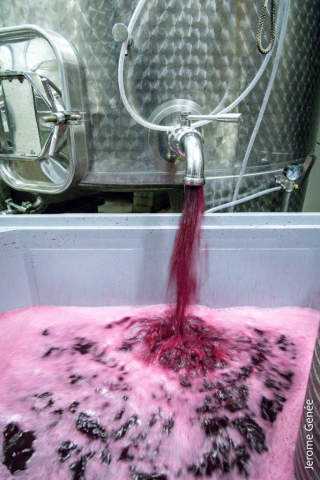 selection livre alsace biodynamie