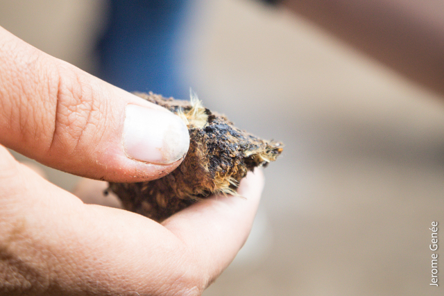 selection livre alsace biodynamie