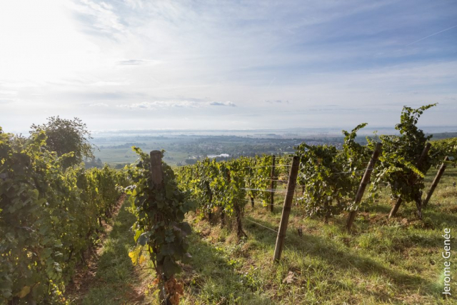 selection livre alsace biodynamie