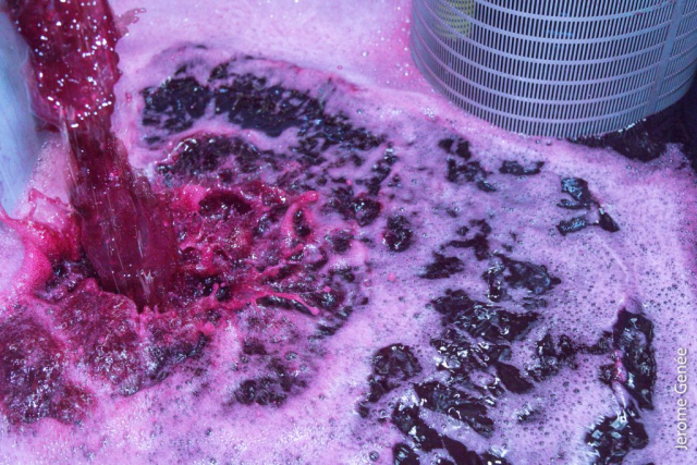 selection livre alsace biodynamie