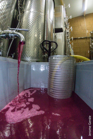 selection livre alsace biodynamie