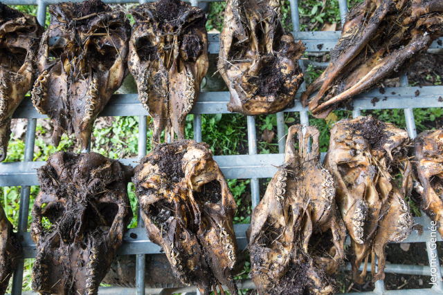 selection livre alsace biodynamie