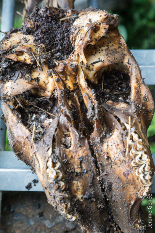 selection livre alsace biodynamie