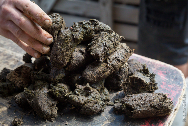 selection livre alsace biodynamie