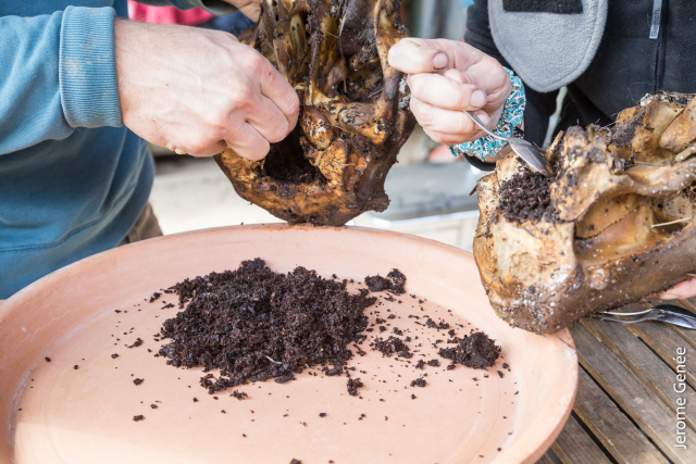 selection livre alsace biodynamie