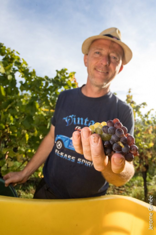 selection livre alsace biodynamie