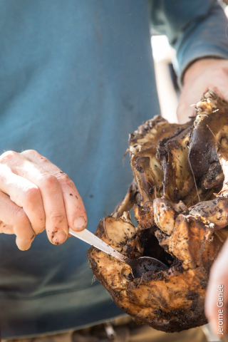 selection livre alsace biodynamie