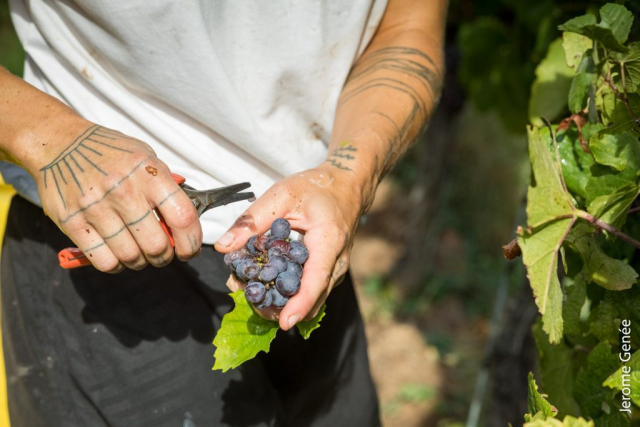 selection livre alsace biodynamie