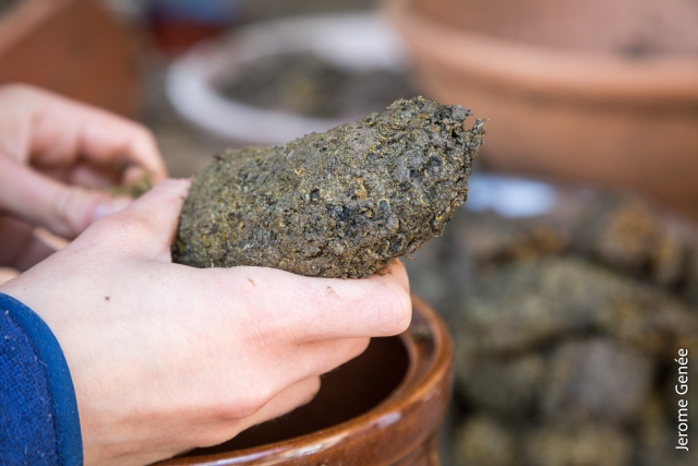 selection livre alsace biodynamie