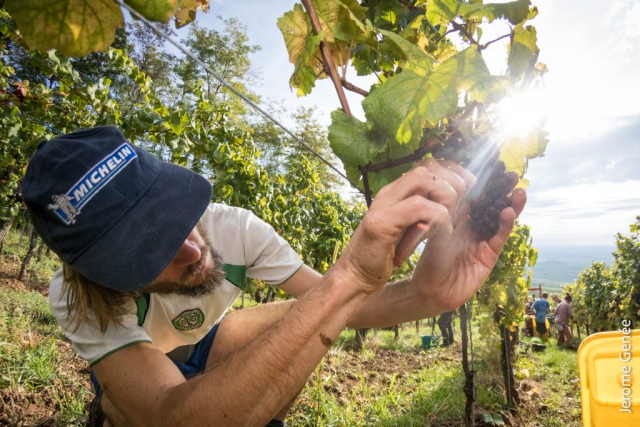 selection livre alsace biodynamie