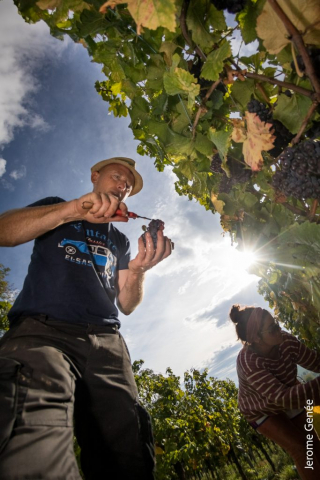 selection livre alsace biodynamie