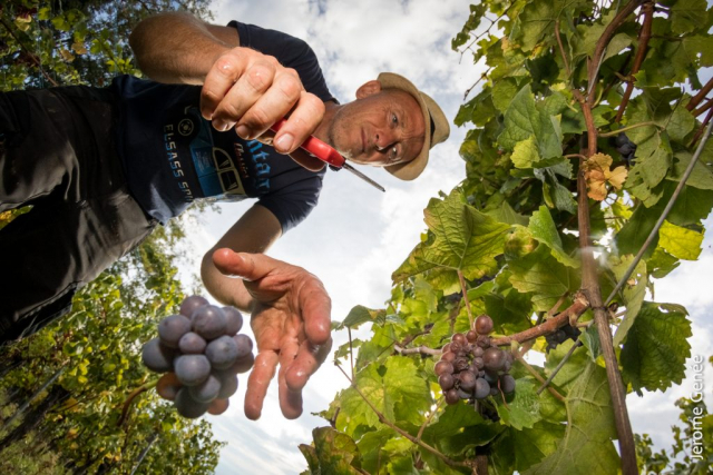 selection livre alsace biodynamie