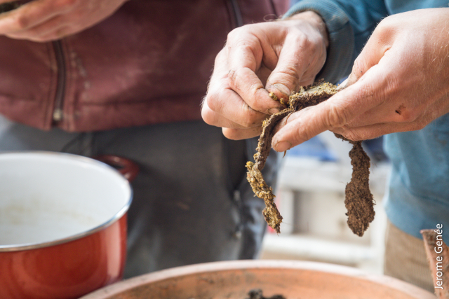 selection livre alsace biodynamie