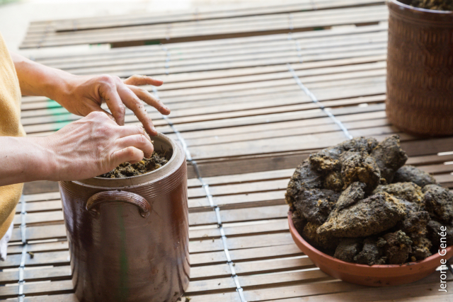 selection livre alsace biodynamie